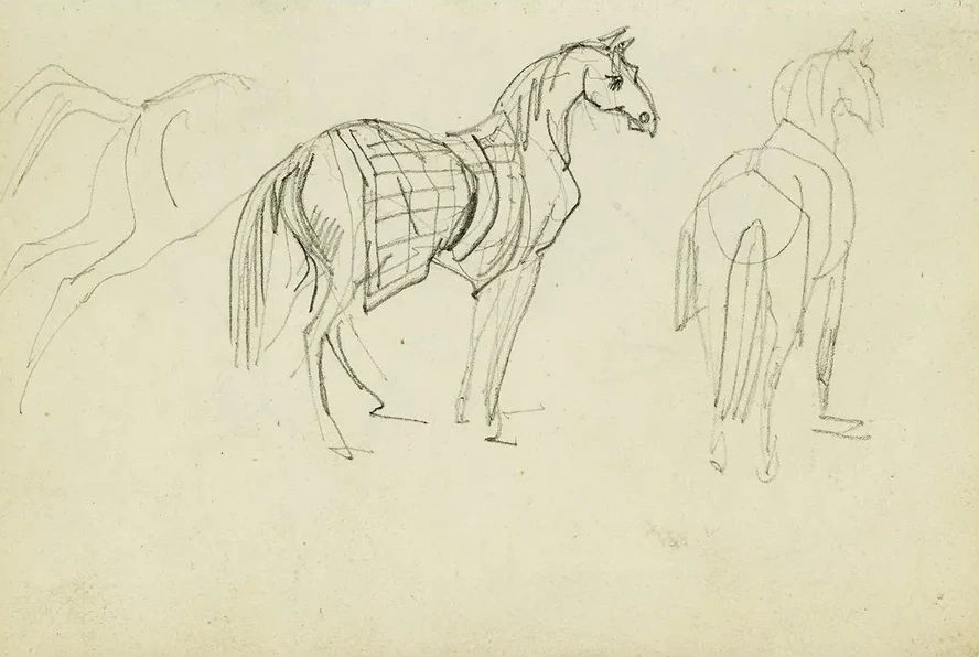 Three Horse Studies