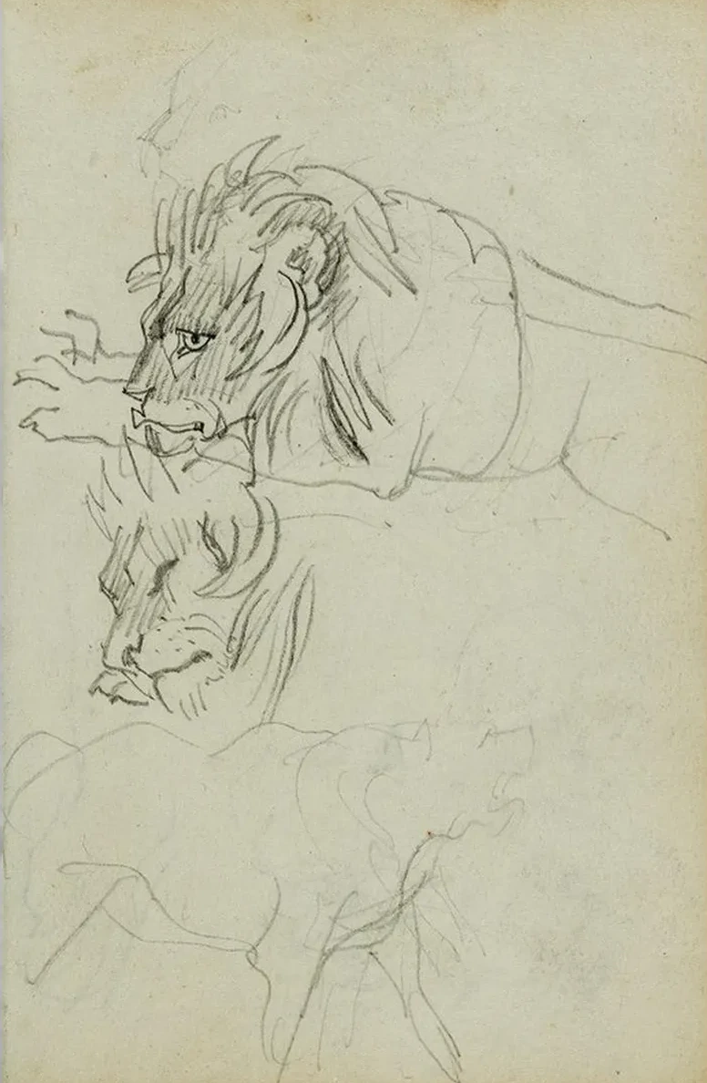 Three Lion Studies