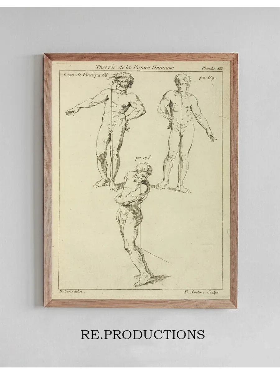 Three Studies of Male Figures