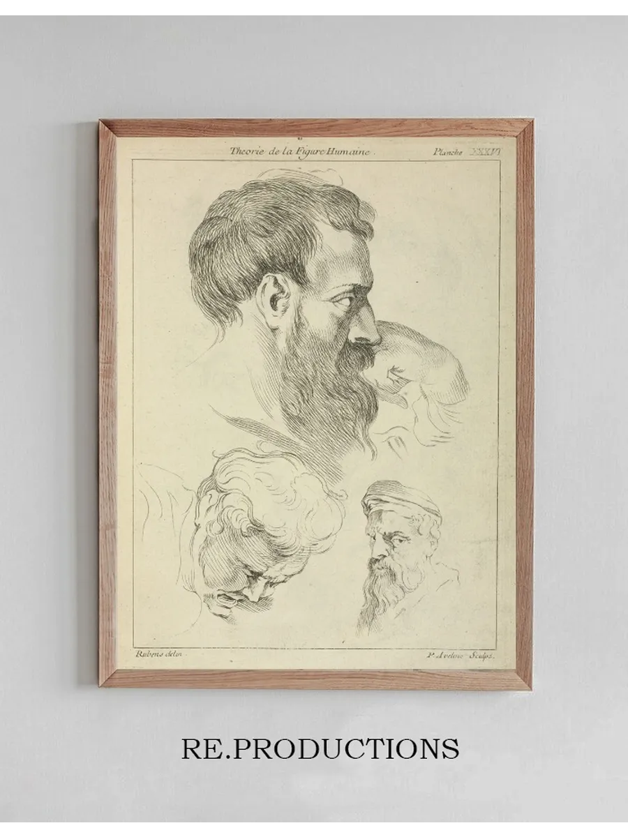 Three Studies of Men's Heads