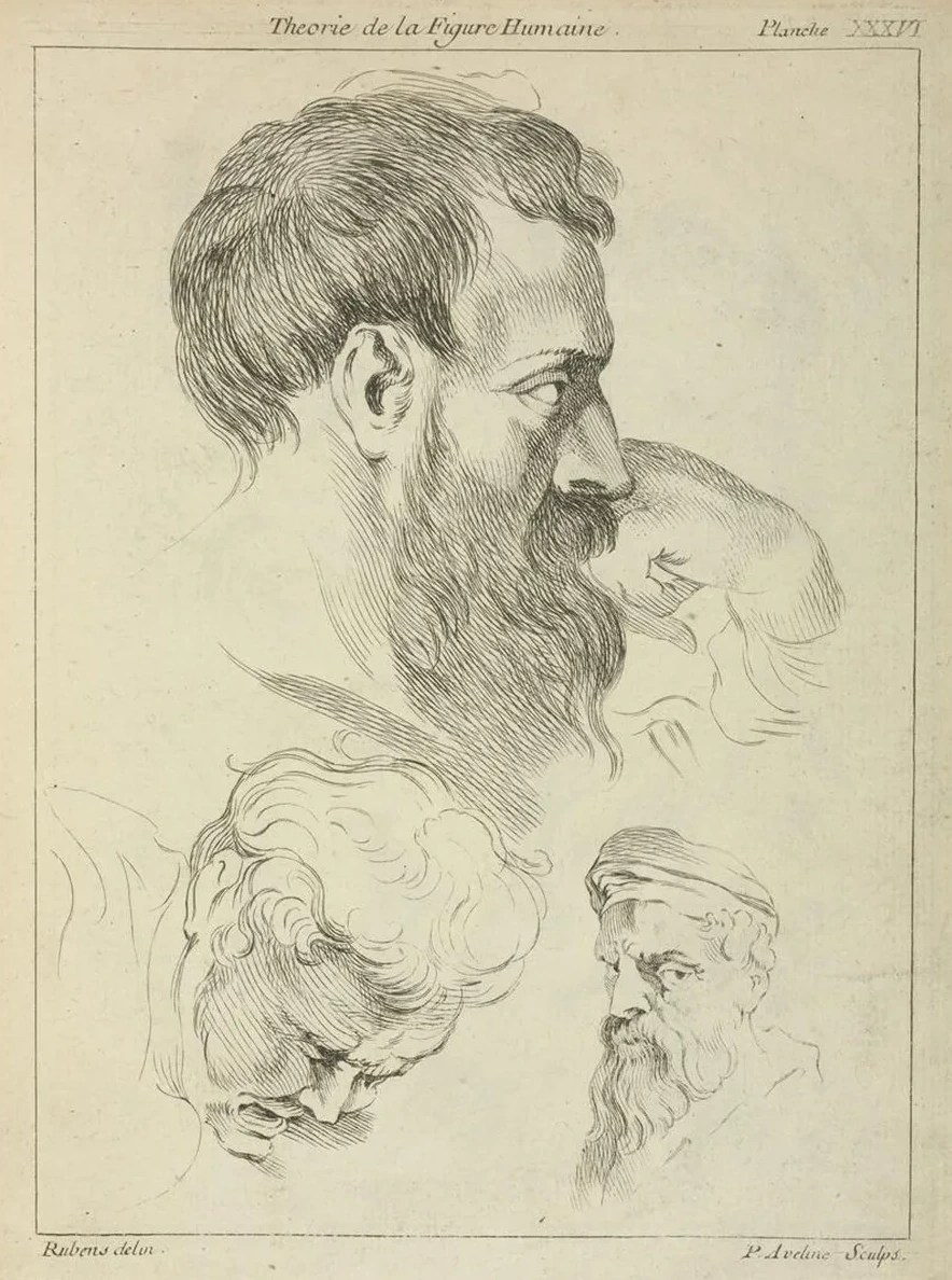 Three Studies of Men's Heads