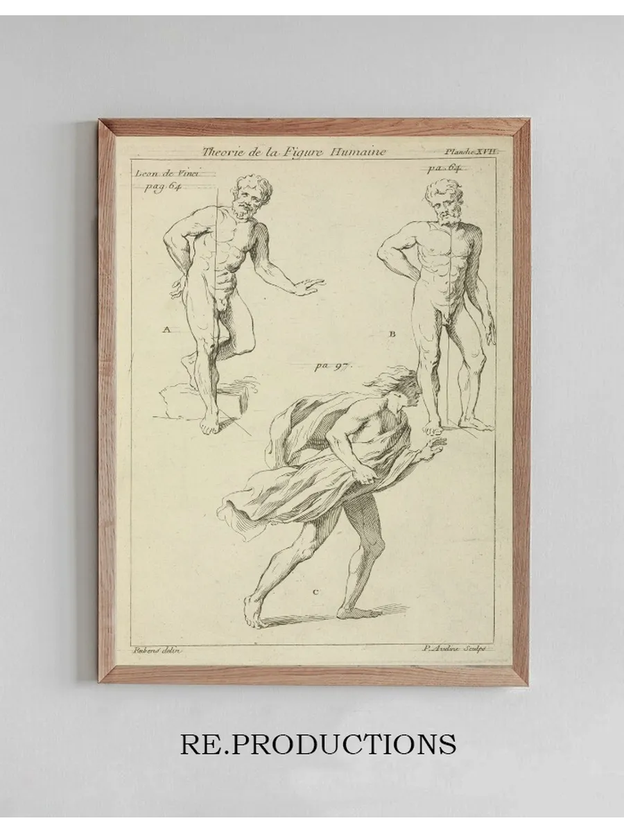 Three Studies of the Figure
