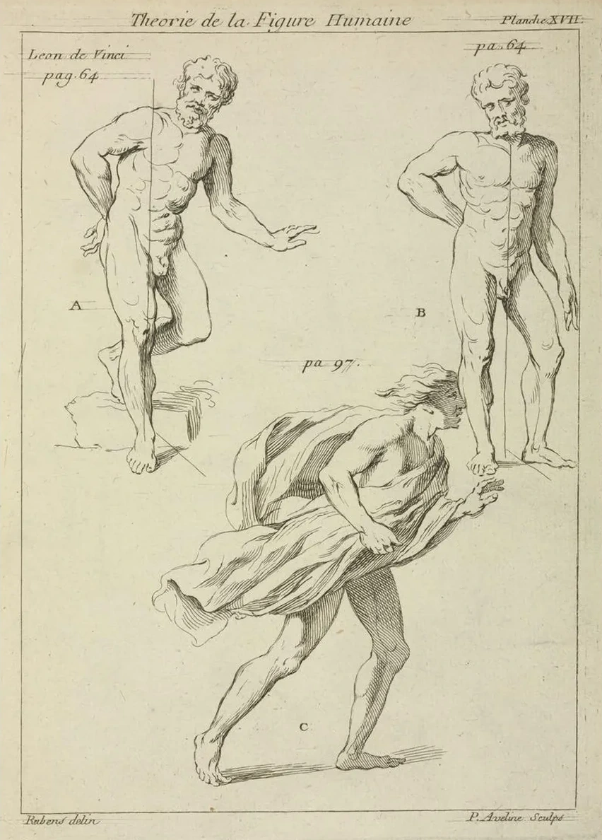 Three Studies of the Figure