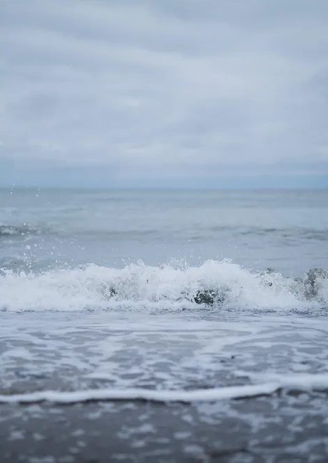 Tide