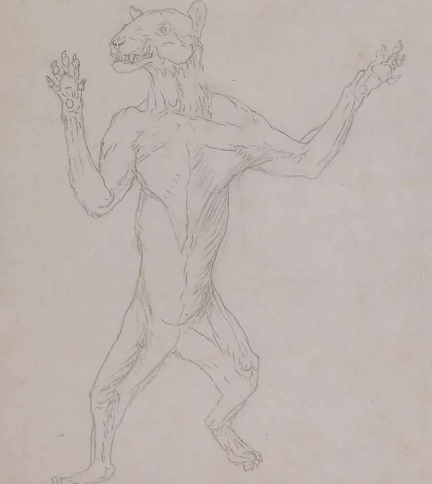 Tiger Body, Standing in Human Posture