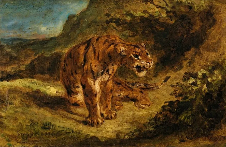 Tiger On The Look - Out