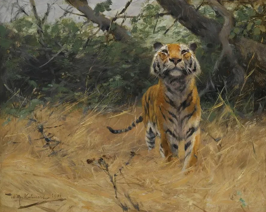 TigerOn The Watch