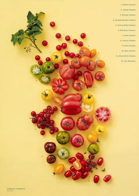 Tomato Tomato