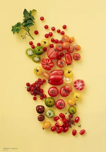 Tomato