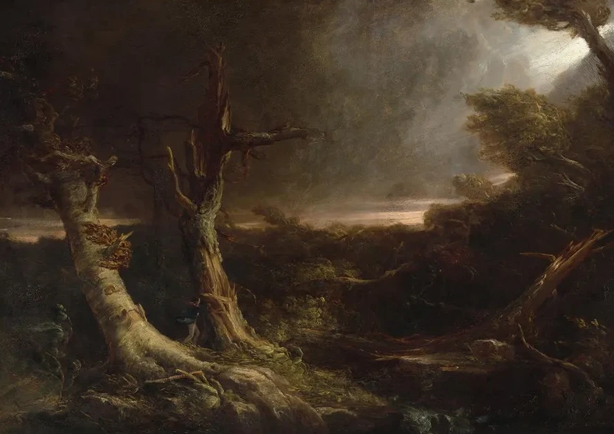 Tornado in an American Forest