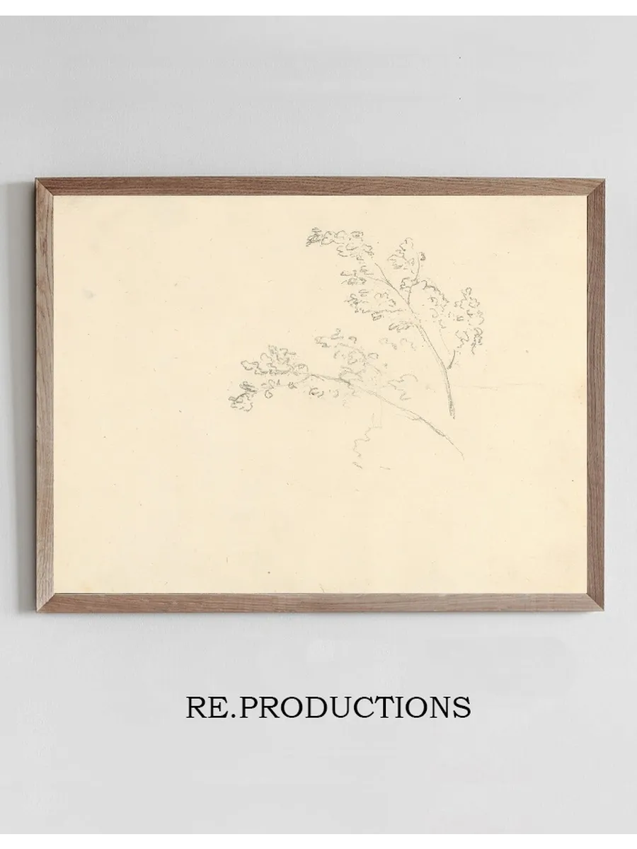 Tree Branches