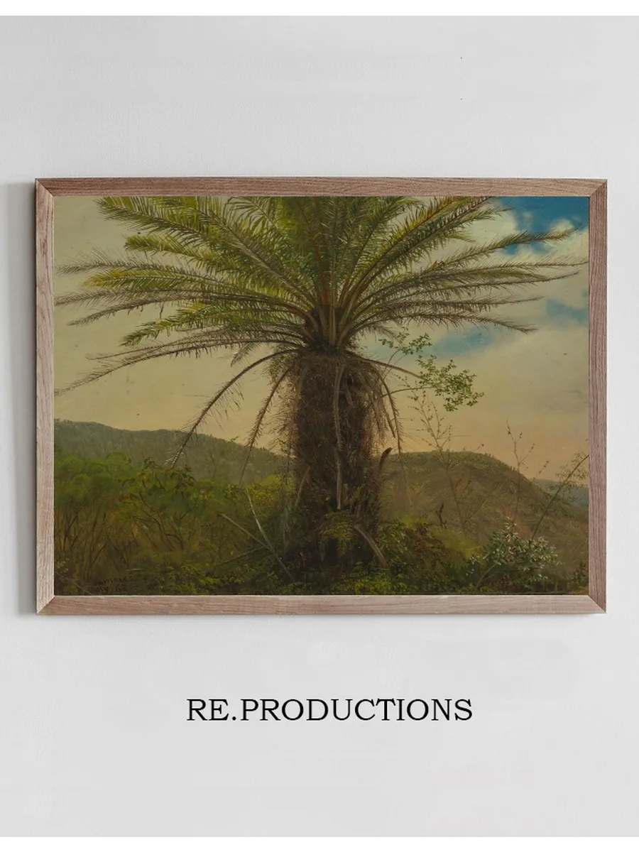 Tree Fern, Jamaica