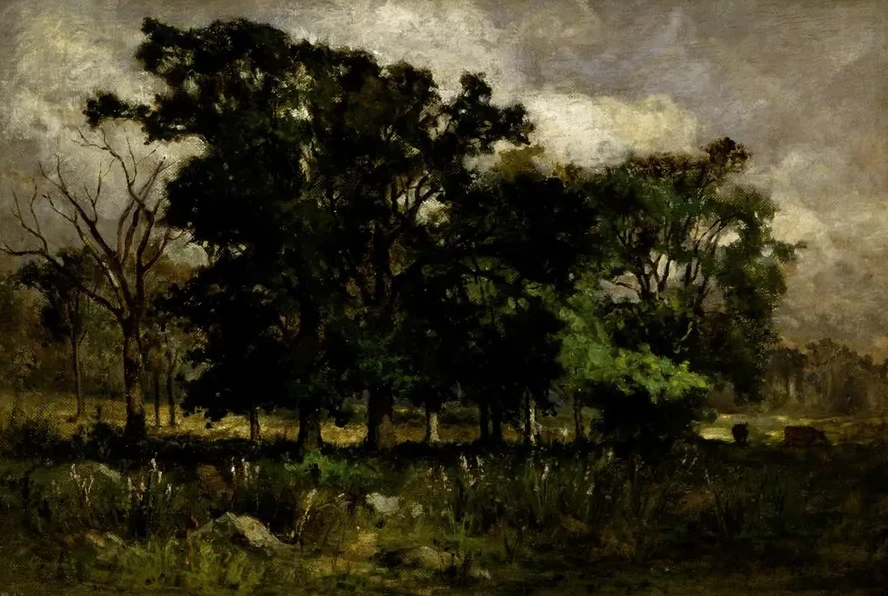 Tree Landscape