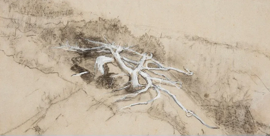 Tree Roots on a Hillside, Prout's Neck
