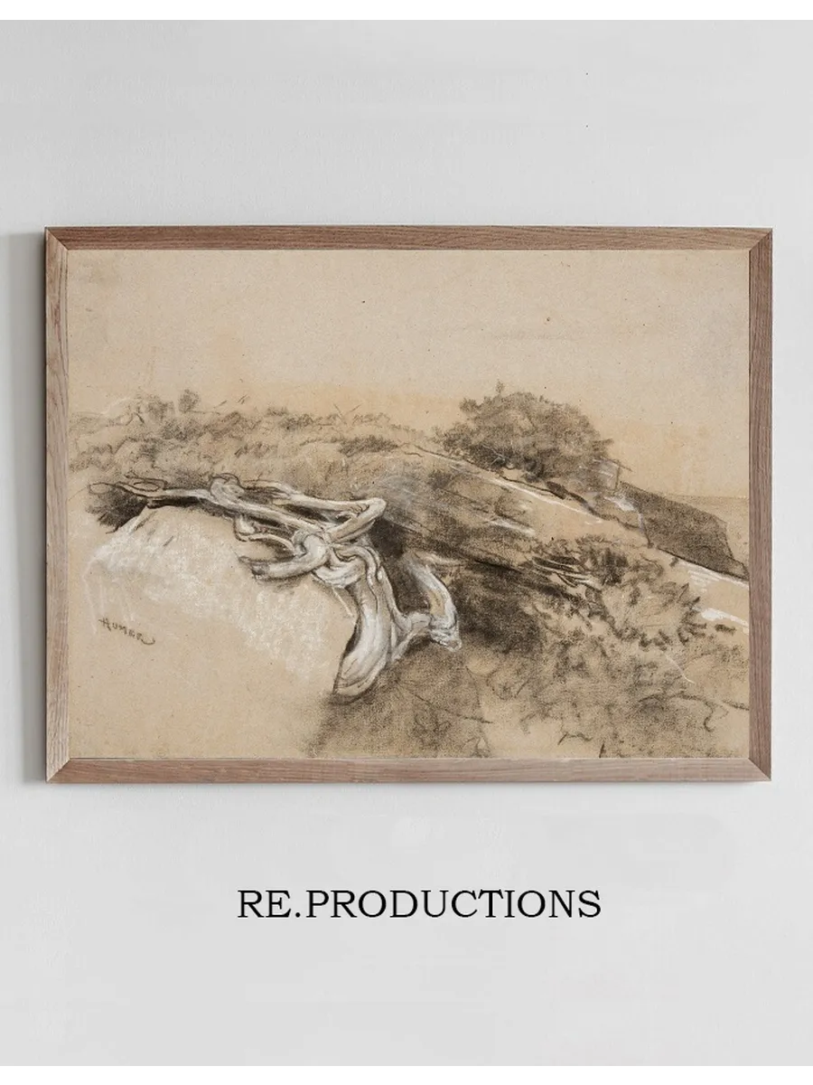 Tree Roots, Prout's Neck