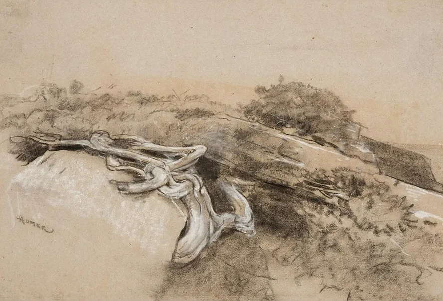 Tree Roots, Prout's Neck
