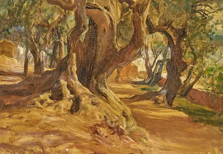 Tree Trunk