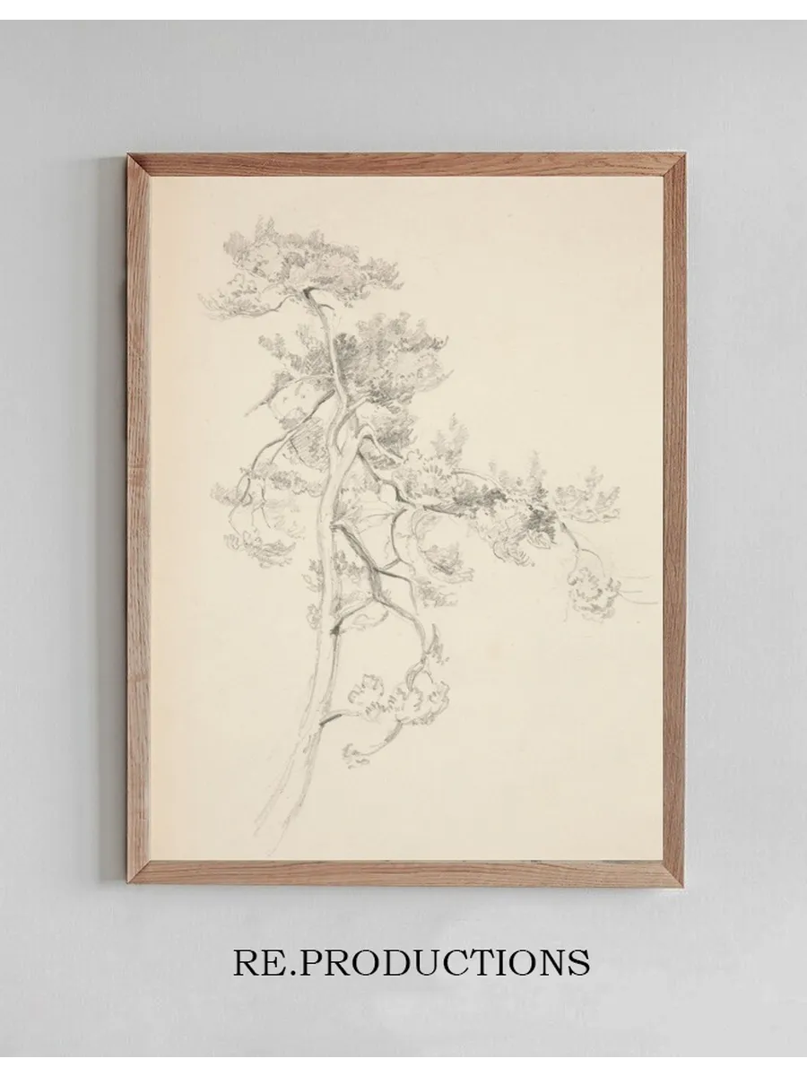 Tree andFoliage