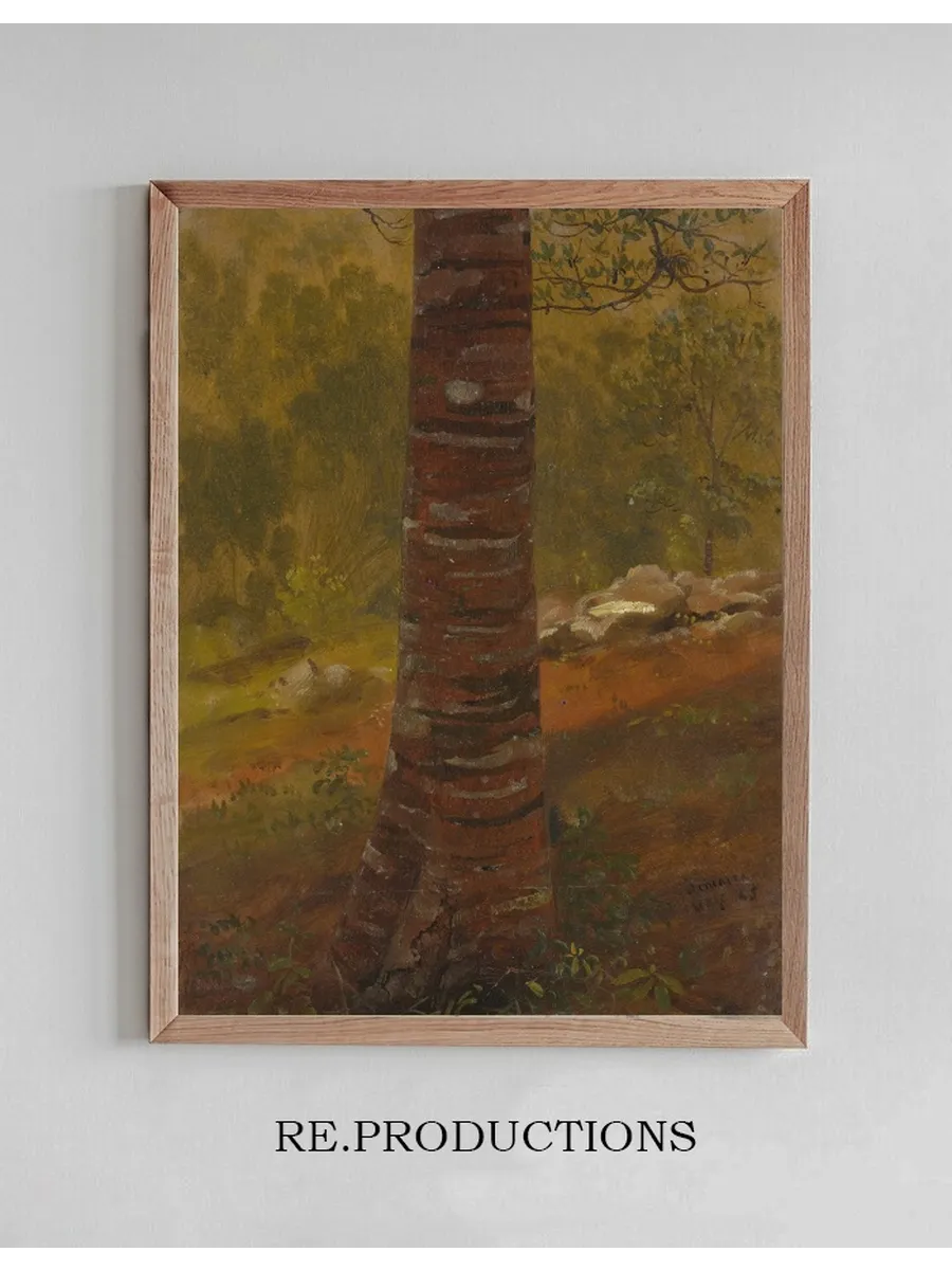 Tree Trunk