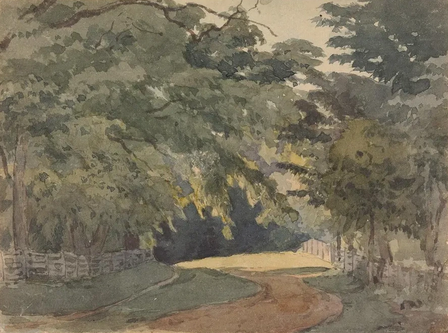Tree - lined Lane