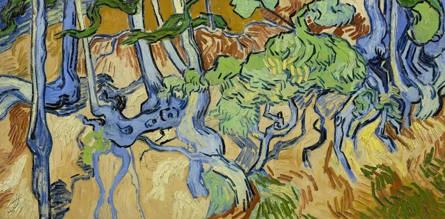 Tree - Roots