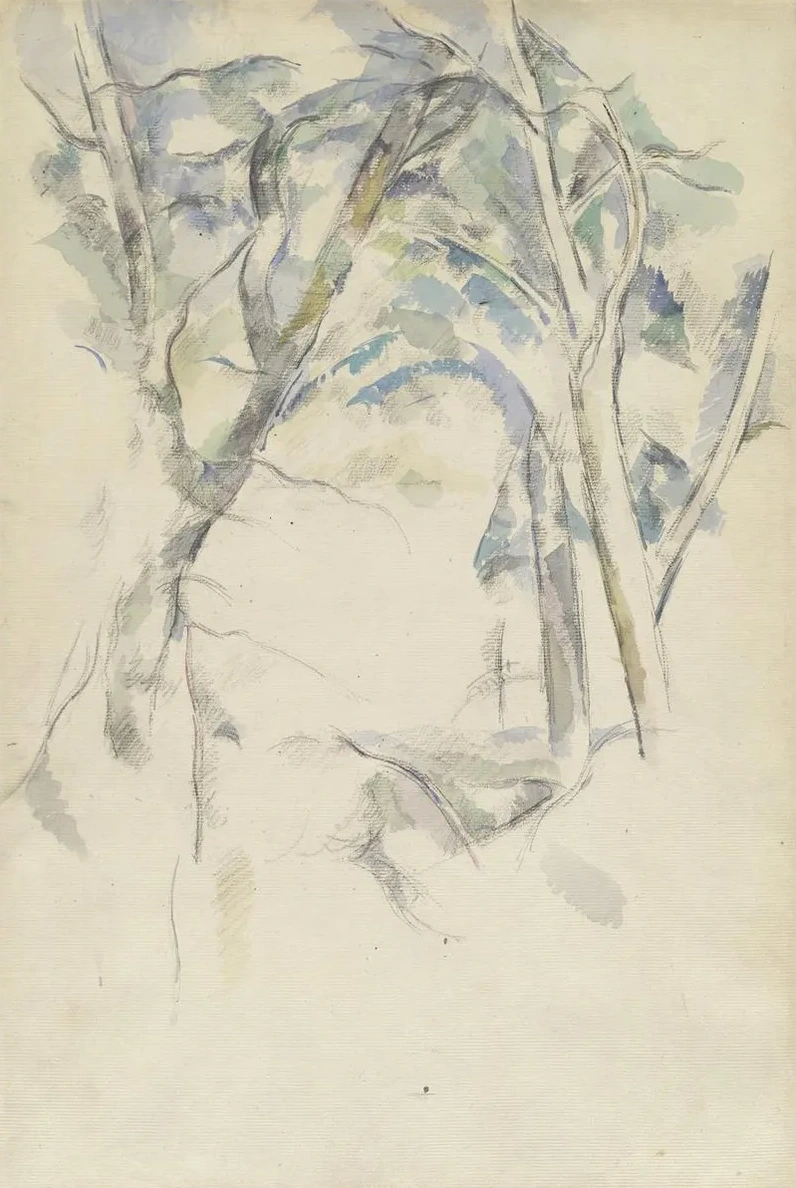Trees Leaning over Rocks