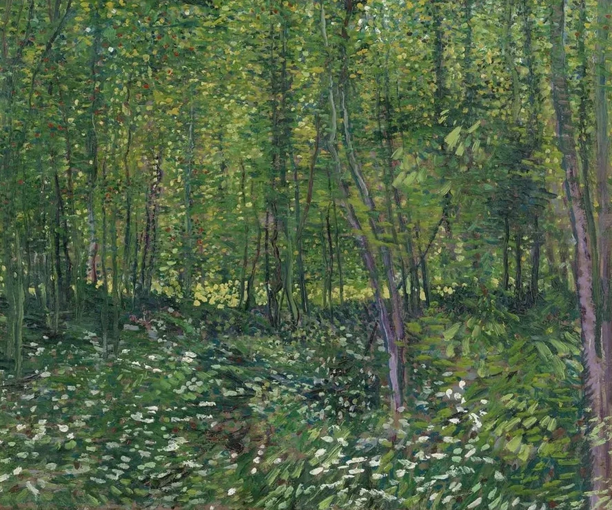 Trees and Undergrowth