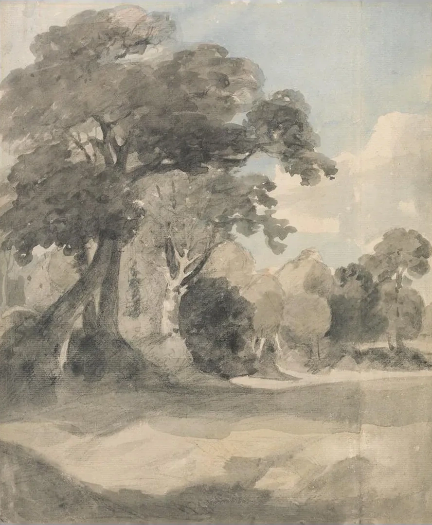 Trees in a Meadow