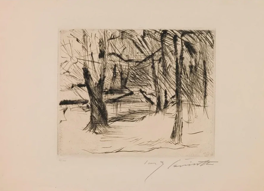 Trees in the Sun