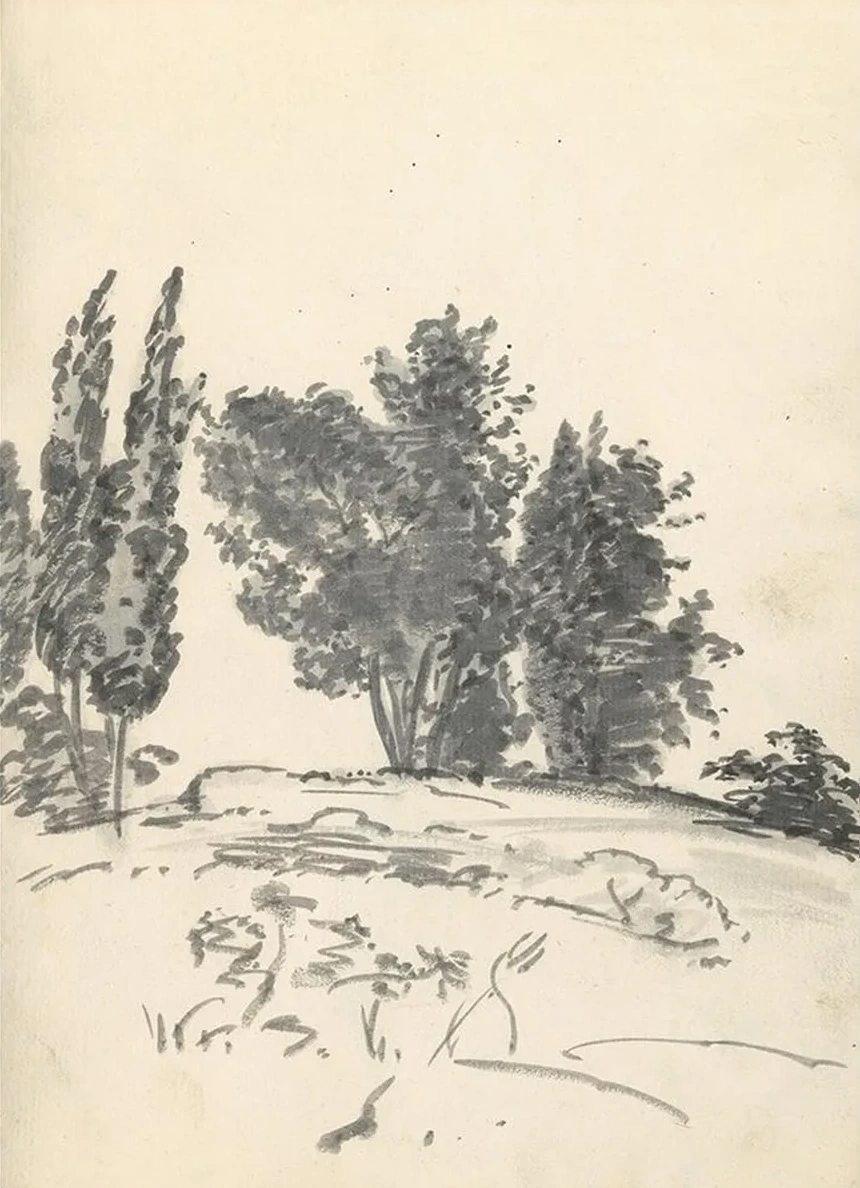Trees, Bushes and Vegetation