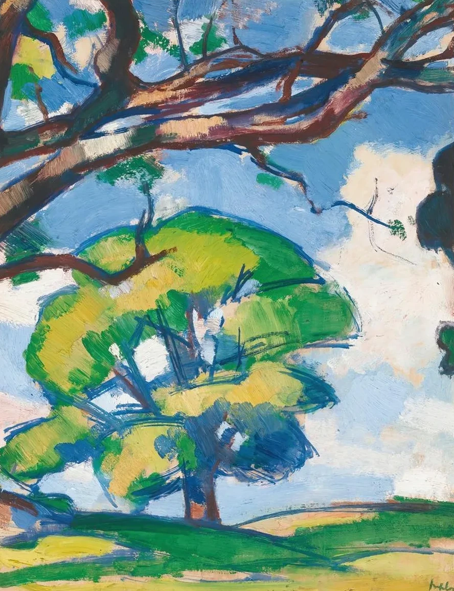 Trees, Douglas Hall