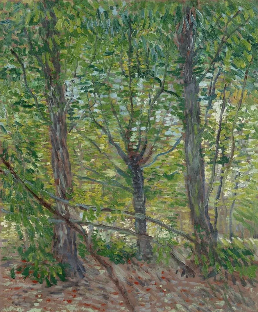 Trees