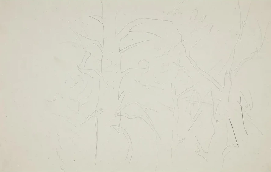 Trees