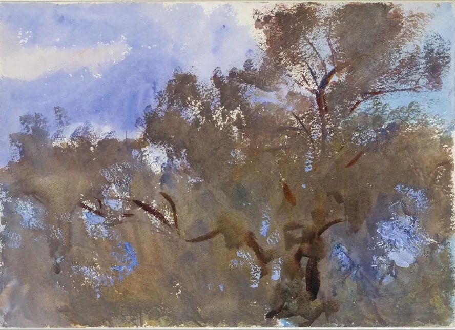 Treetops Against Sky