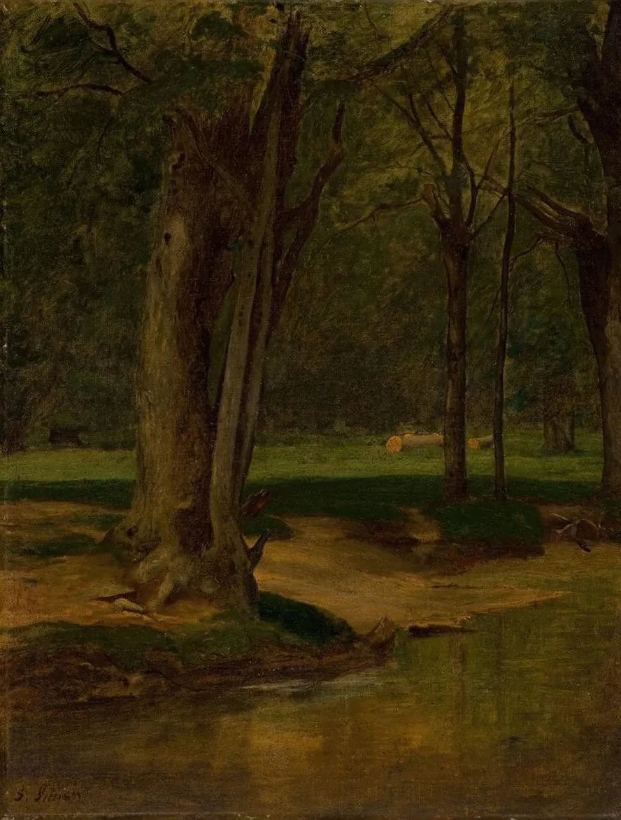 Trout Stream, North Conway