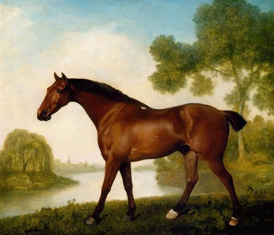 Truss, A Hunter
