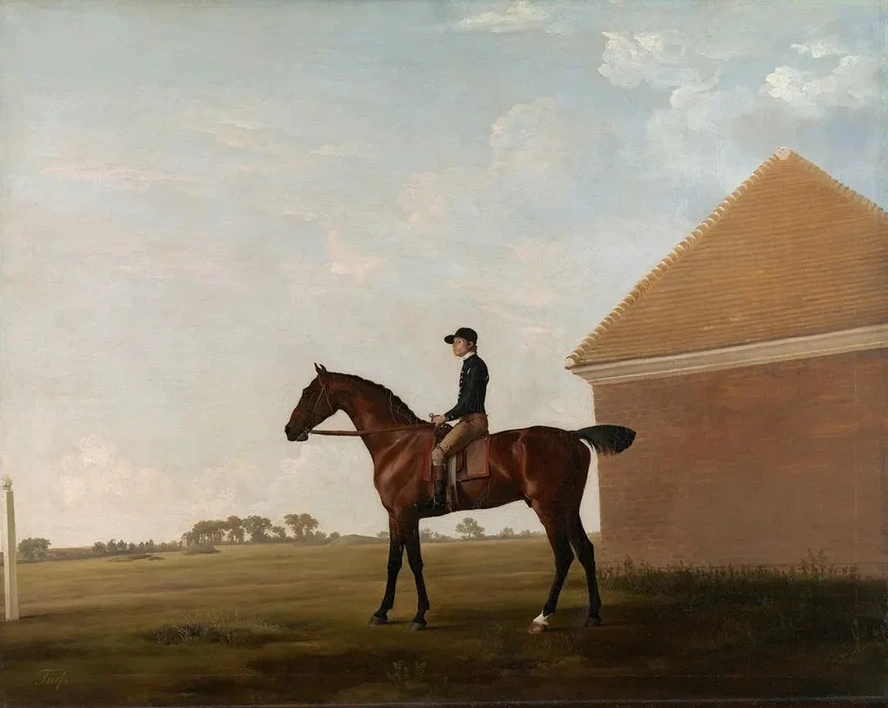 Turf, with Jockey Up, at Newmarket