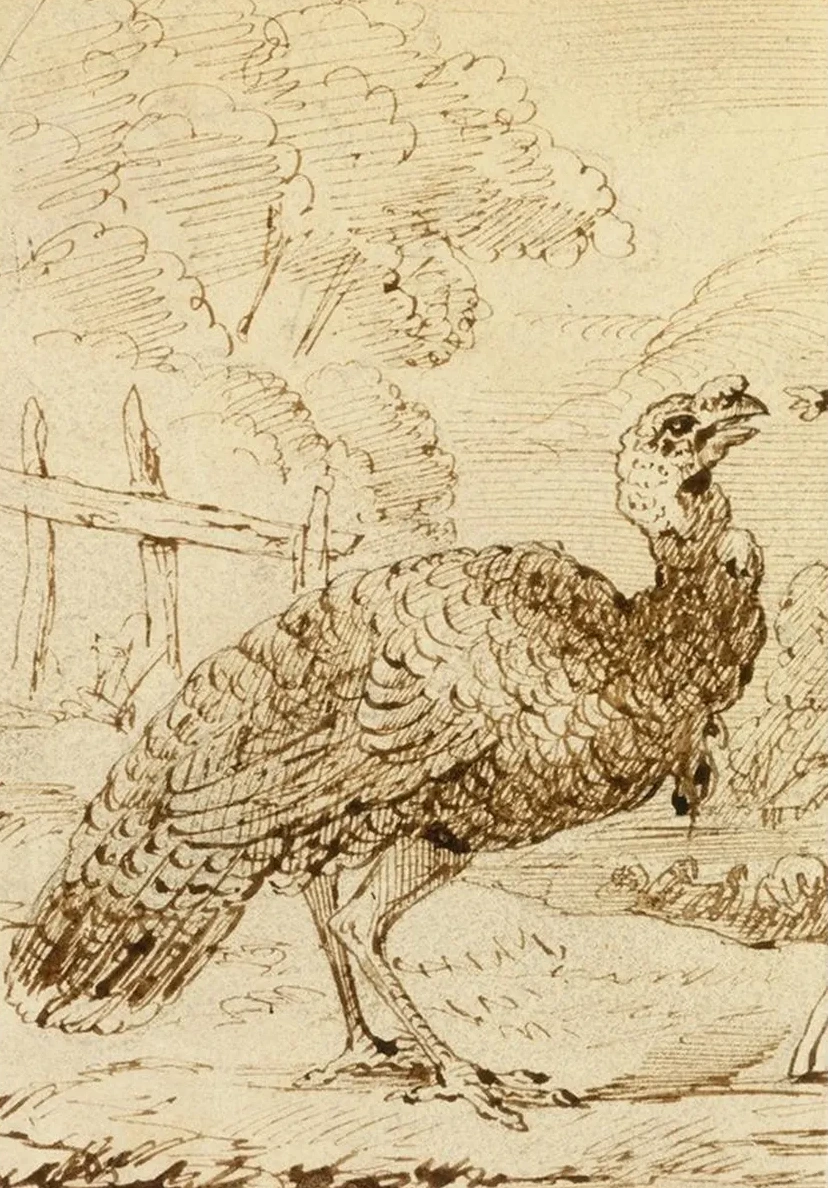 Turkey