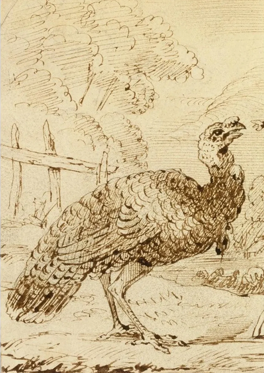 Turkey