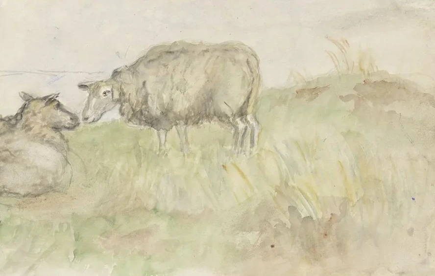 Twee Schapen