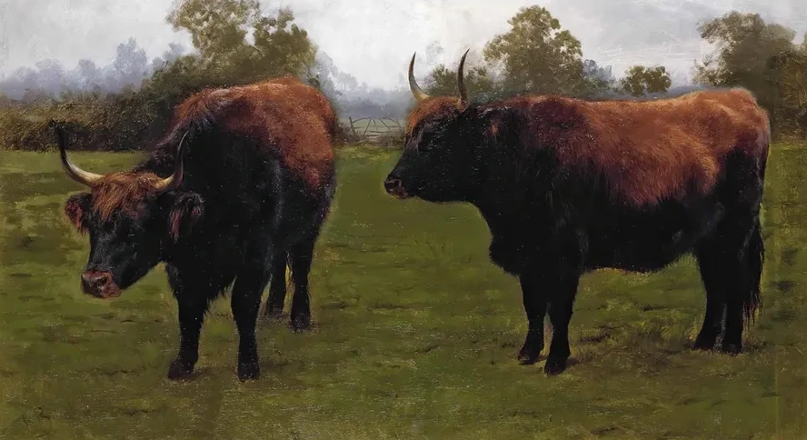 Two Bulls Grazing