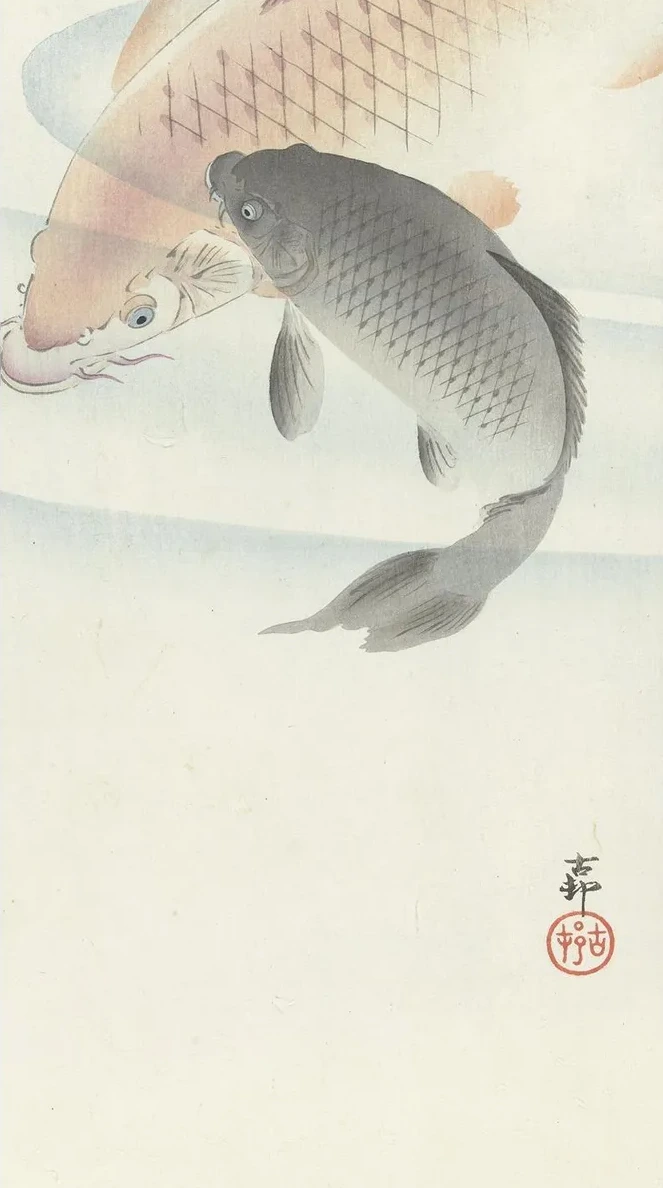 Two Carps