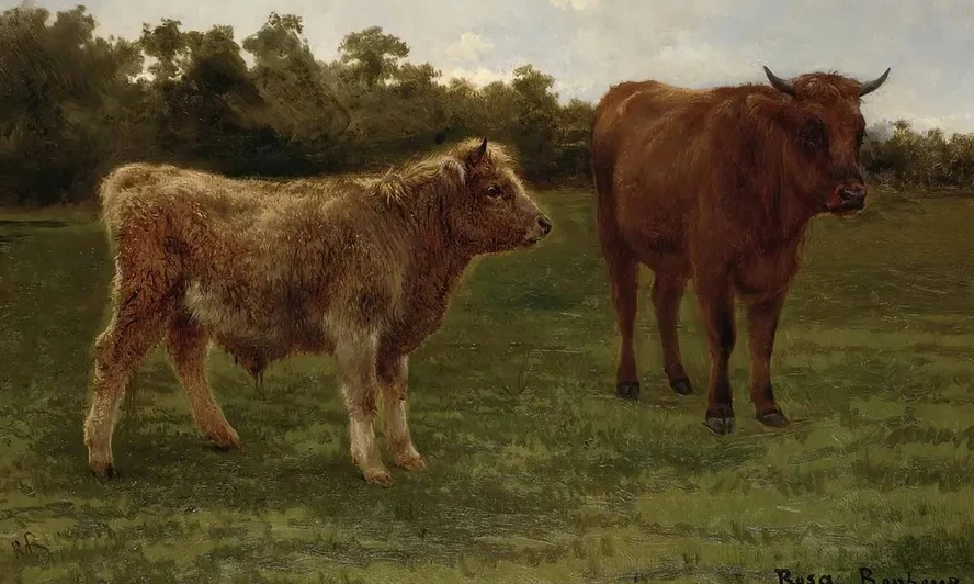 Two Cows Grazing