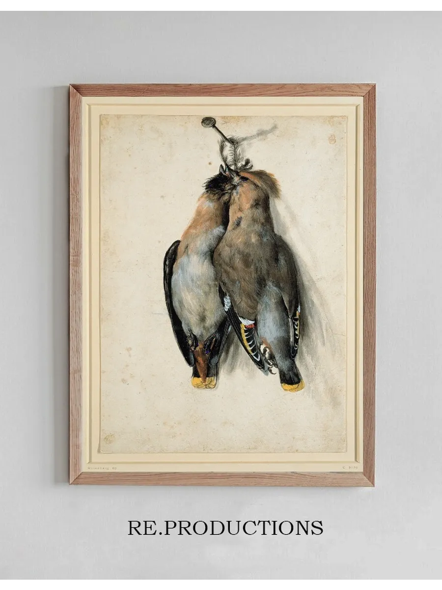 Two Dead Bohemian Waxwings