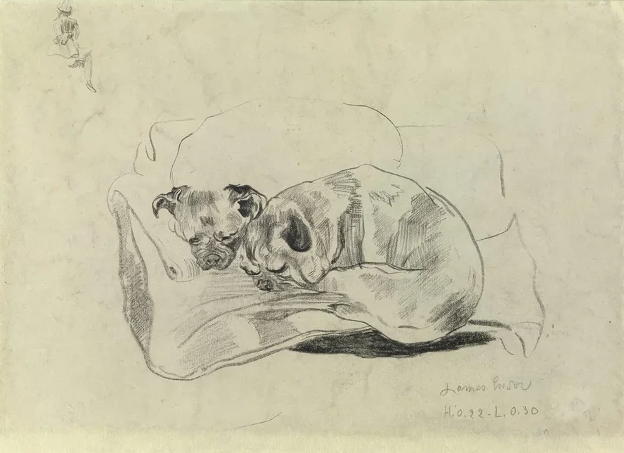 Two Dogs
