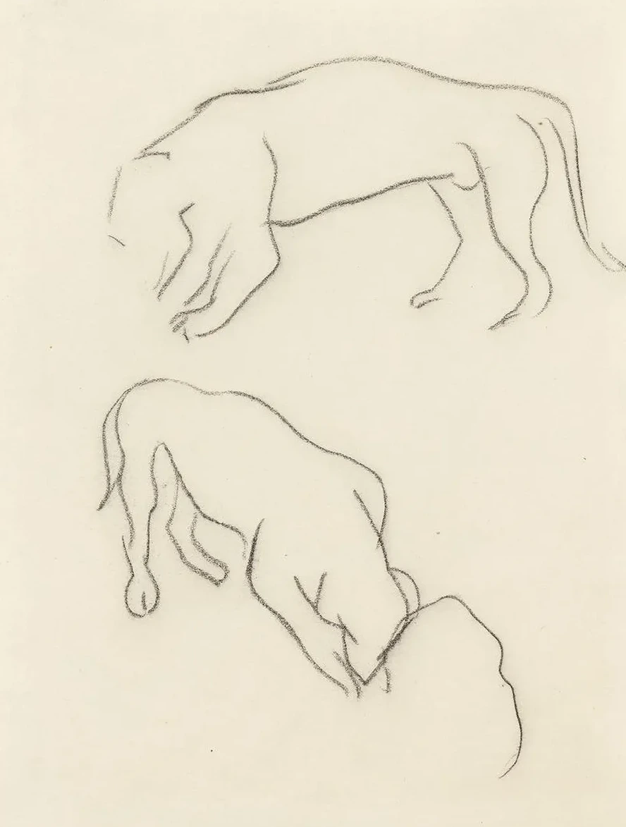 Two Dogs