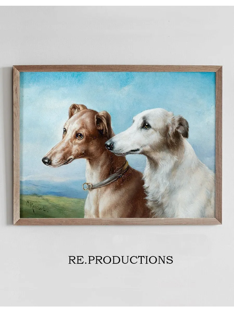 Two Greyhounds