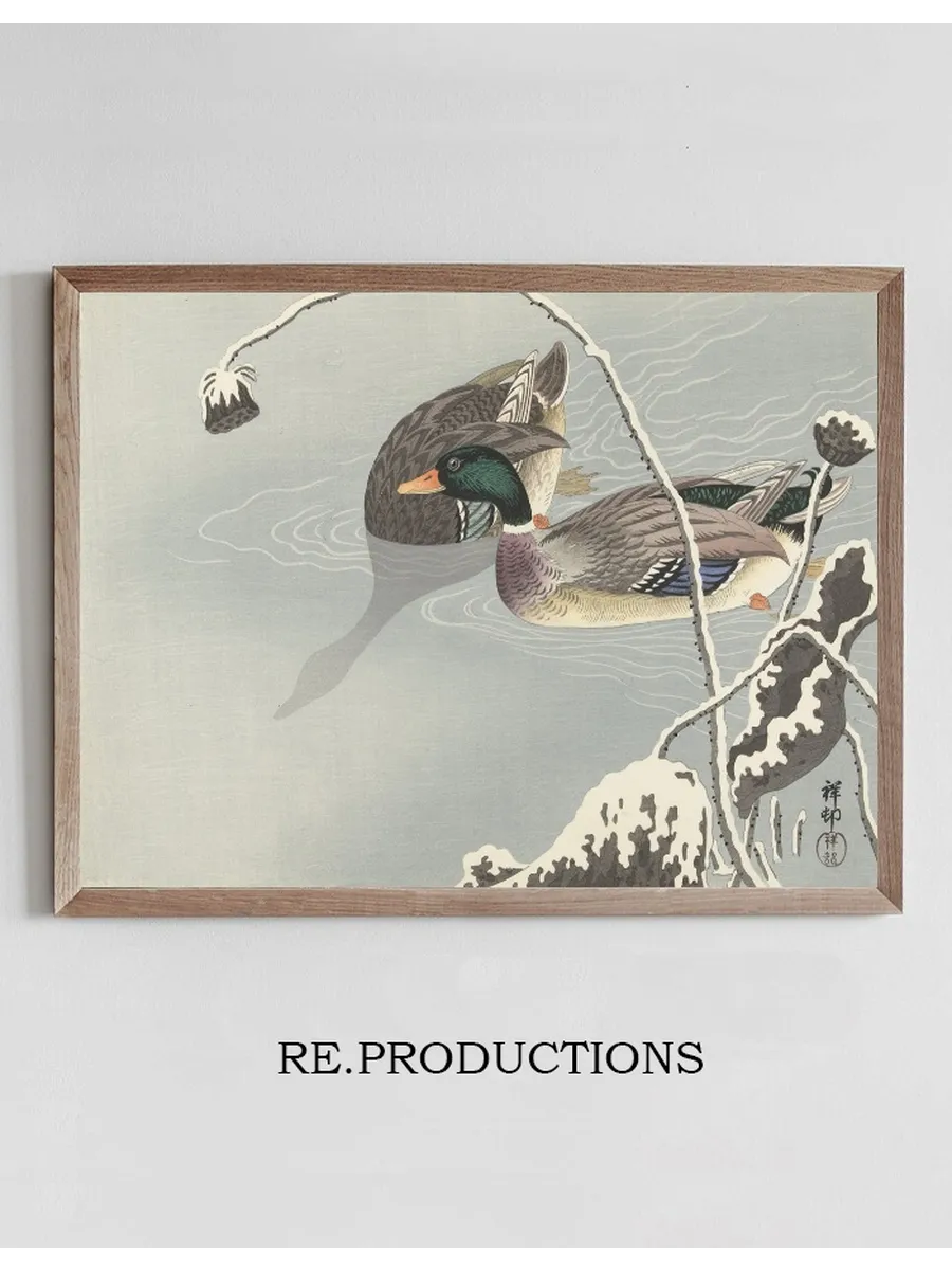 Two Mallards near a Snow - Covered Lotus