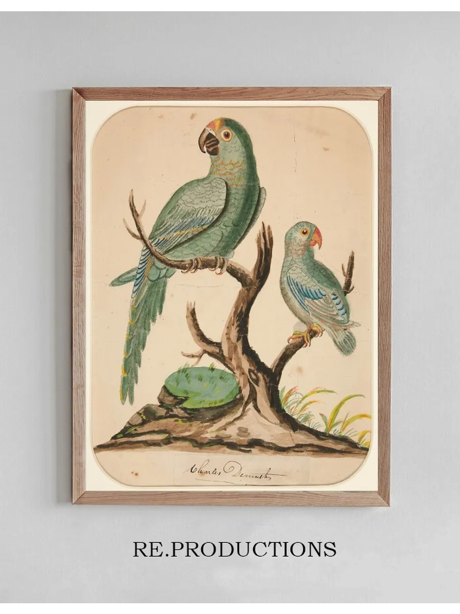 Two Parrots on a BarrenTree