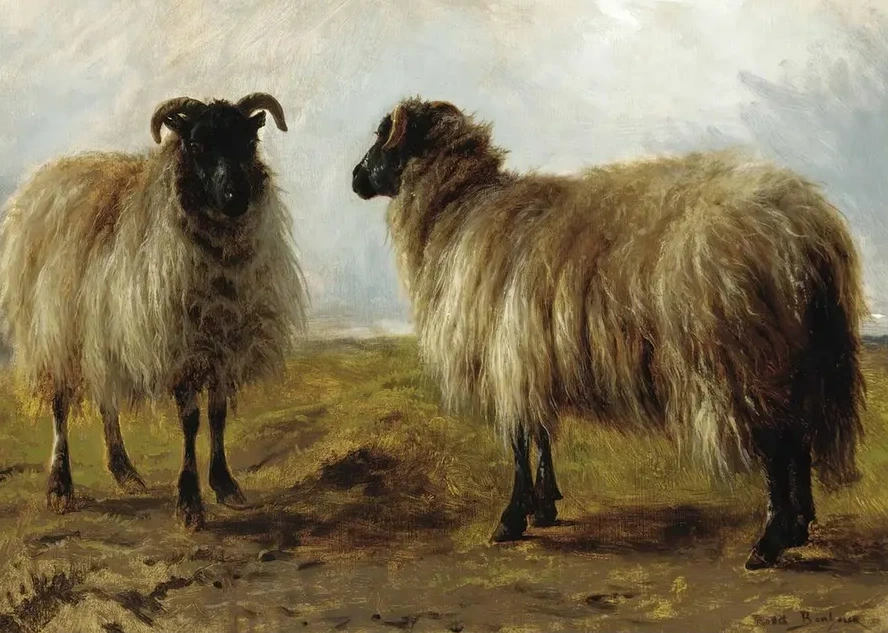 Two Rams In A Landscape